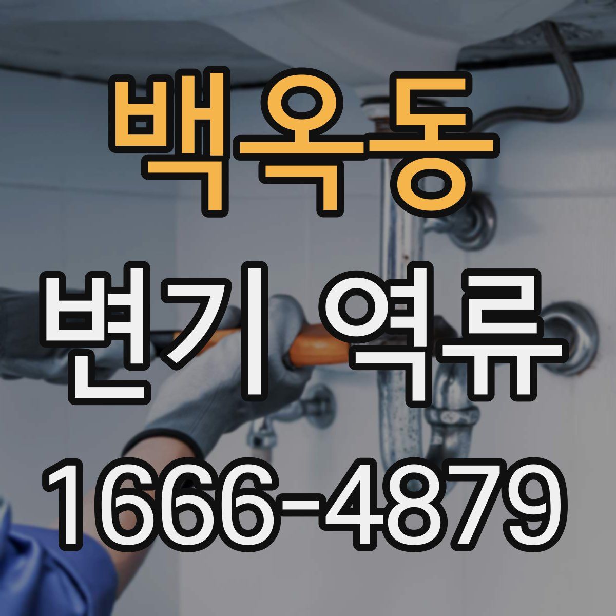 백옥동 변기 역류