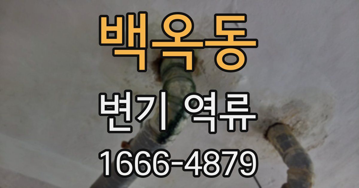 백옥동 변기 역류