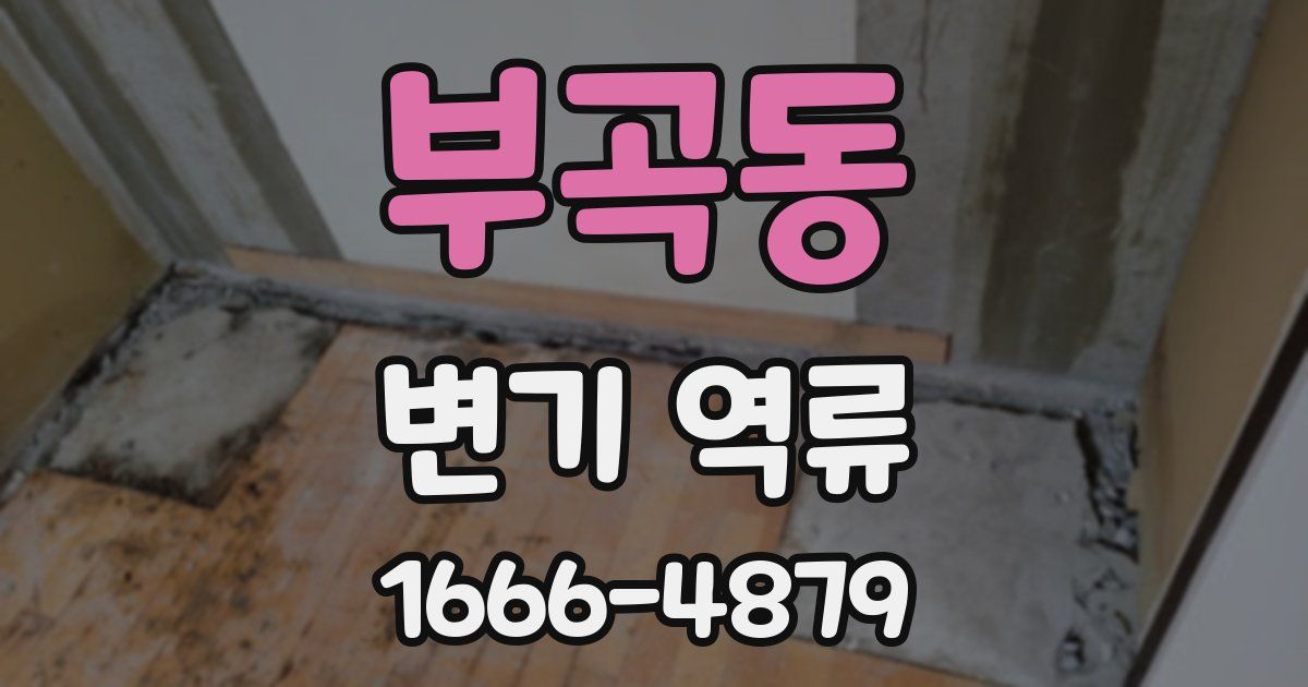 부곡동 변기 역류