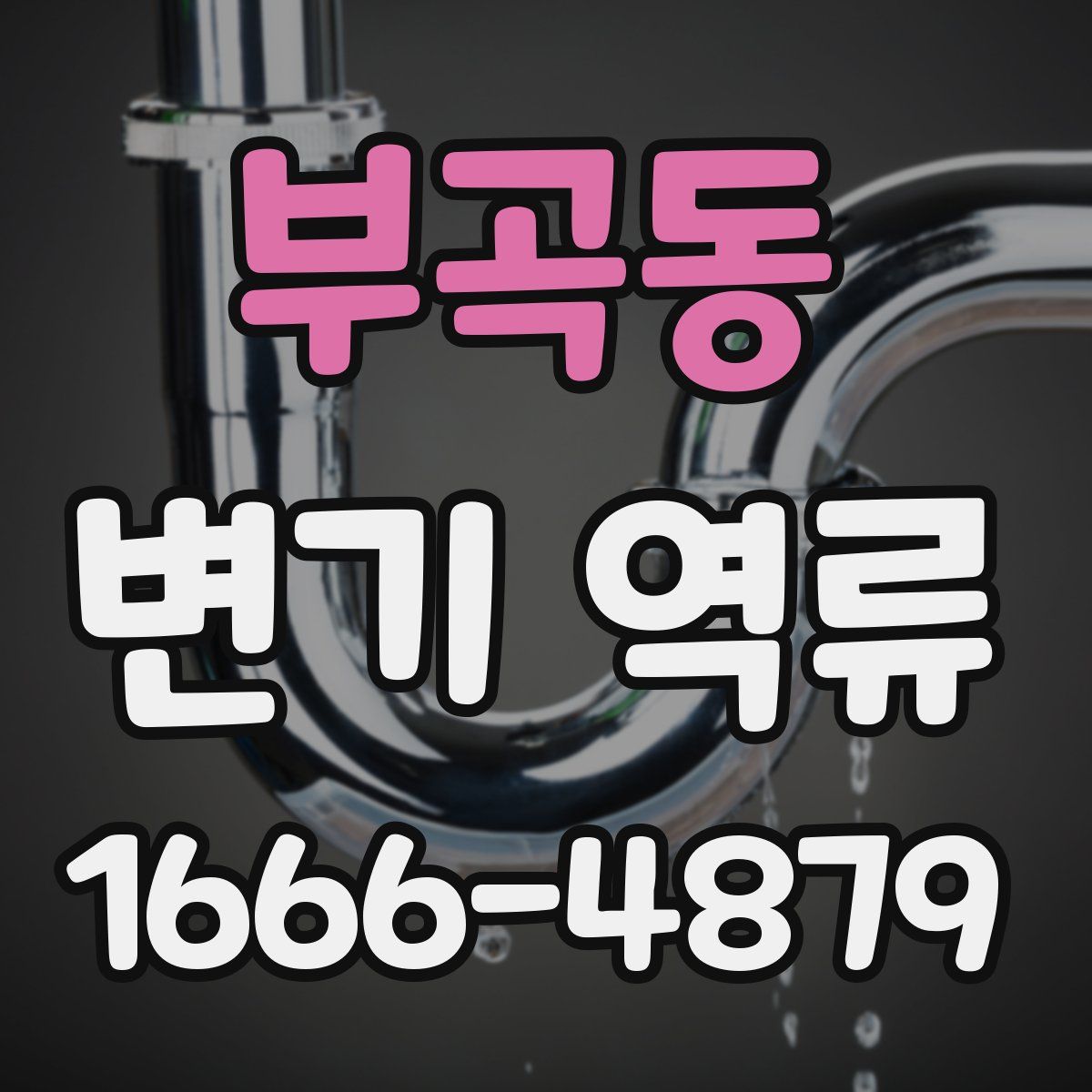 부곡동 변기 역류