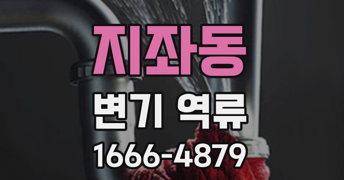 지좌동 변기 역류