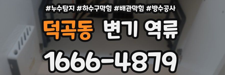 덕곡동 변기 역류