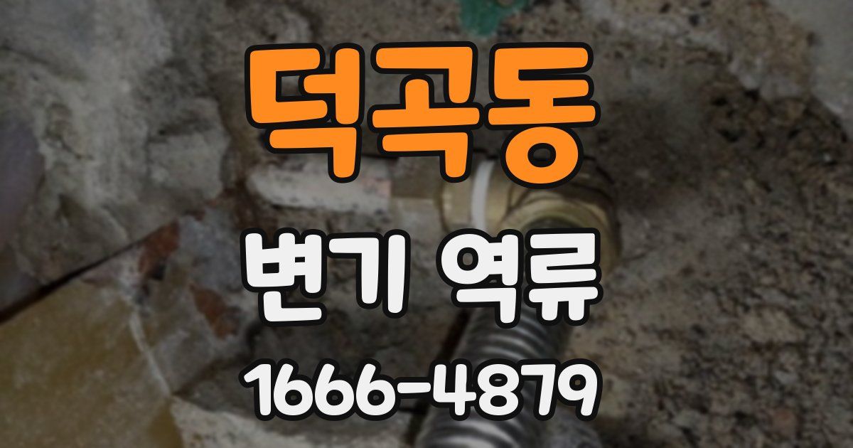 덕곡동 변기 역류