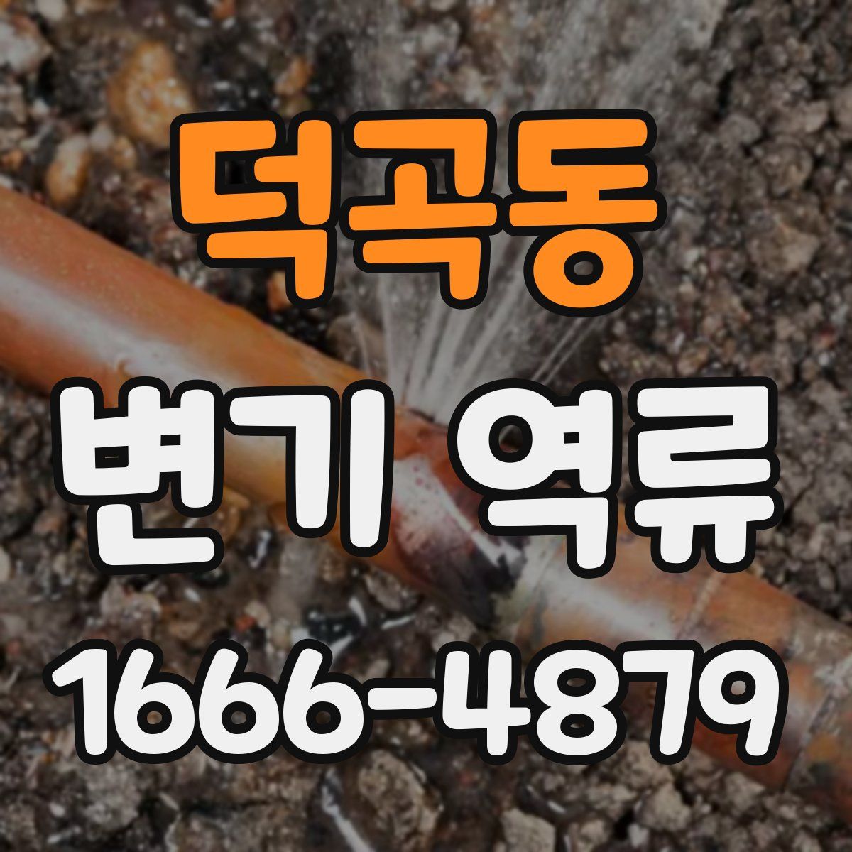 덕곡동 변기 역류