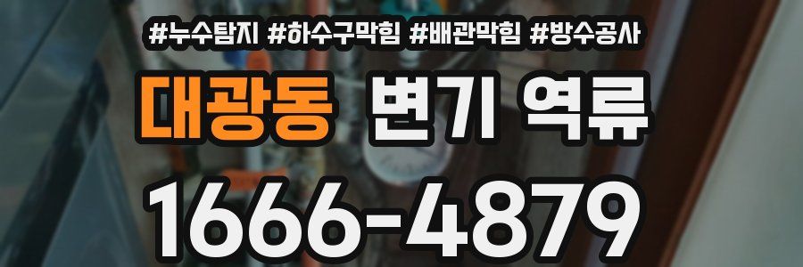 대광동 변기 역류