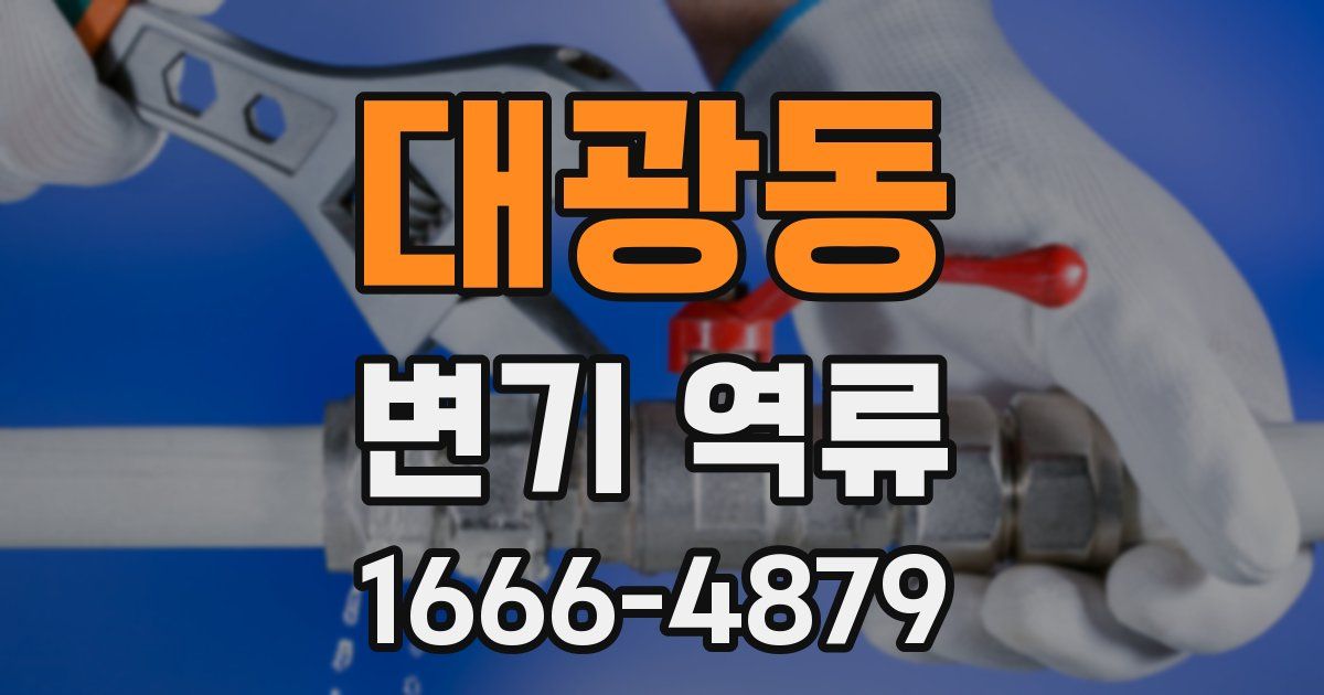 대광동 변기 역류