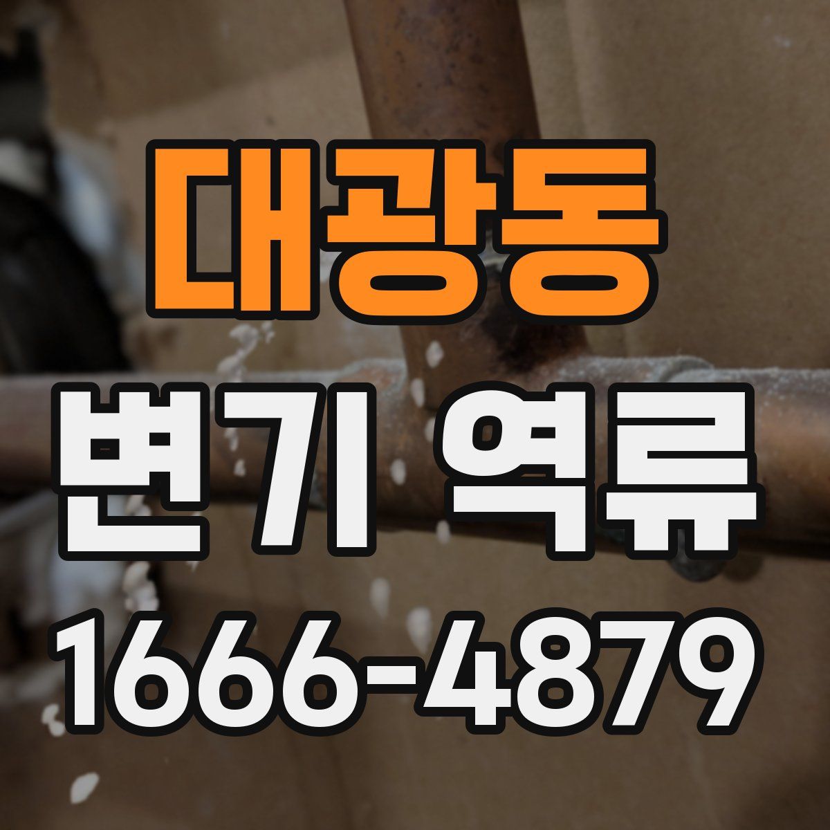 대광동 변기 역류