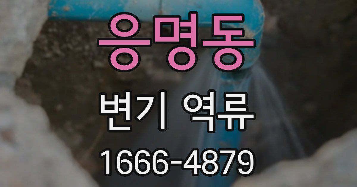 응명동 변기 역류