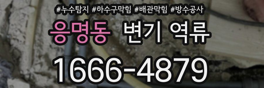 응명동 변기 역류