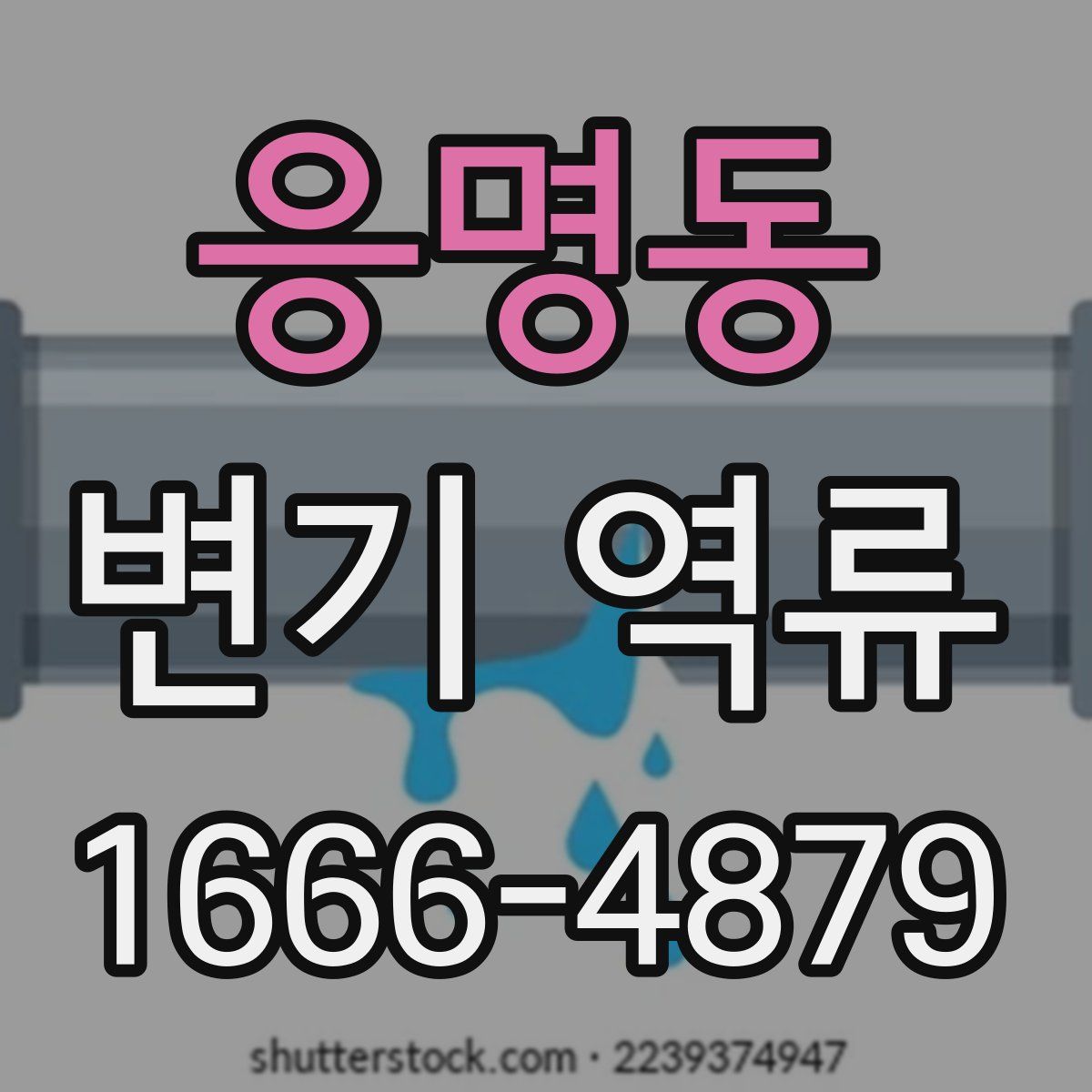 응명동 변기 역류