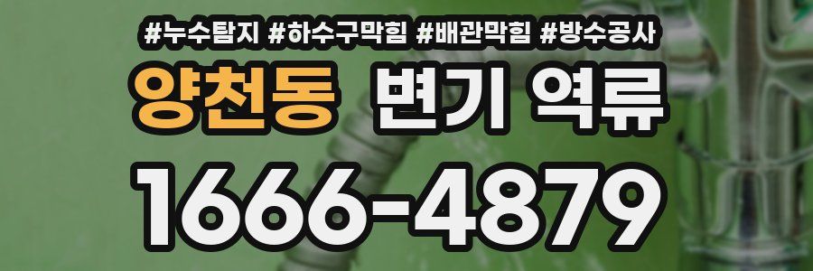 양천동 변기 역류