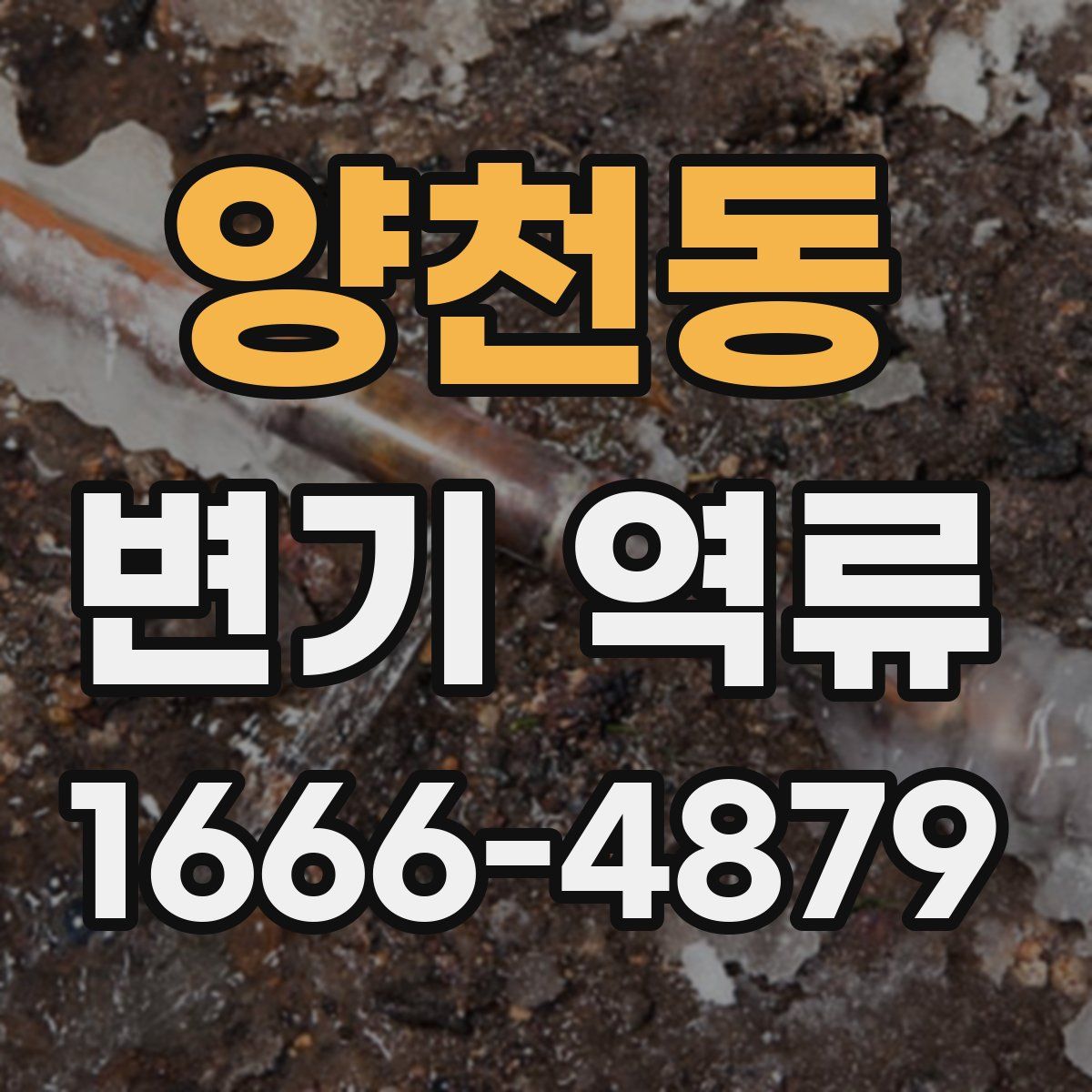 양천동 변기 역류