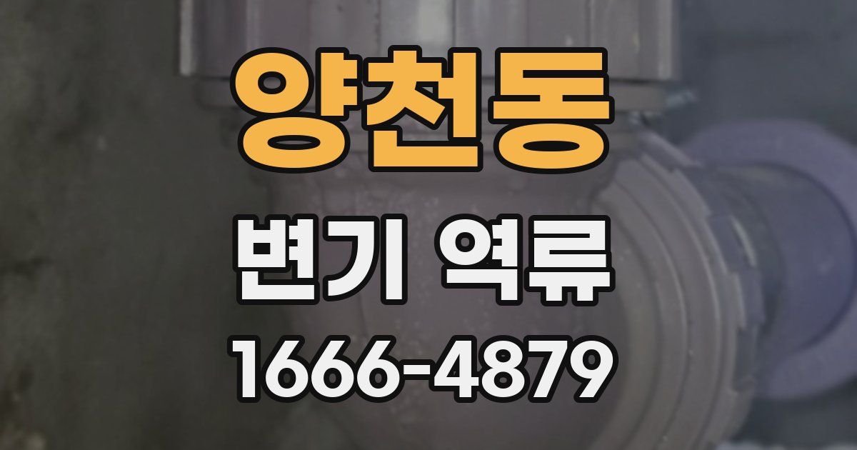 양천동 변기 역류