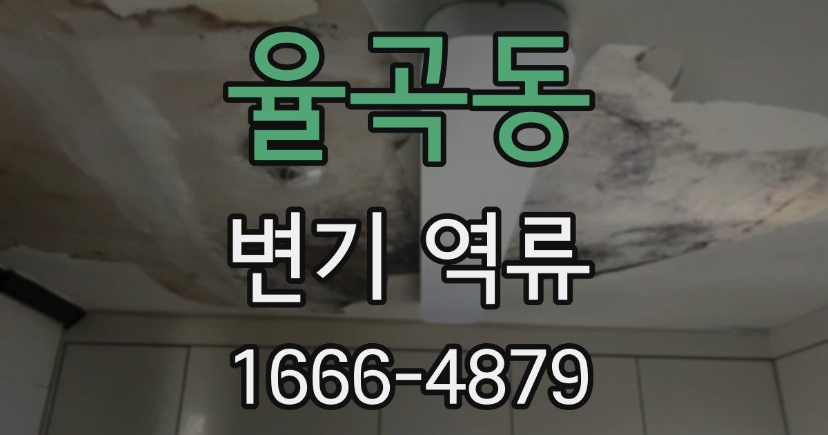 율곡동 변기 역류