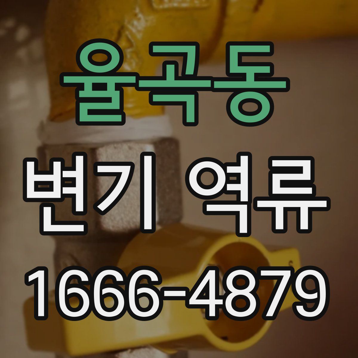 율곡동 변기 역류
