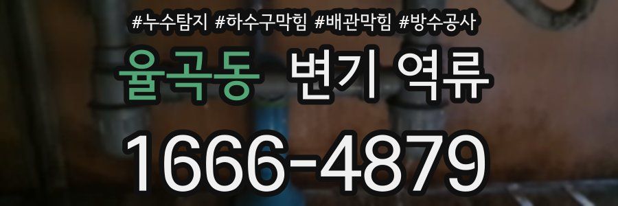 율곡동 변기 역류