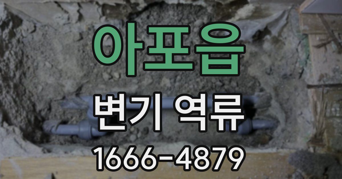 아포읍 변기 역류