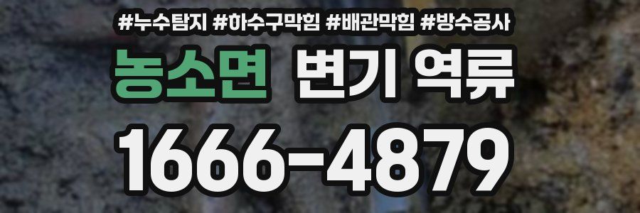 농소면 변기 역류