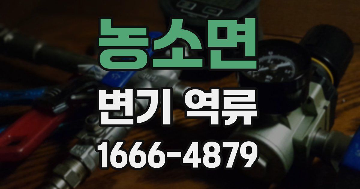 농소면 변기 역류