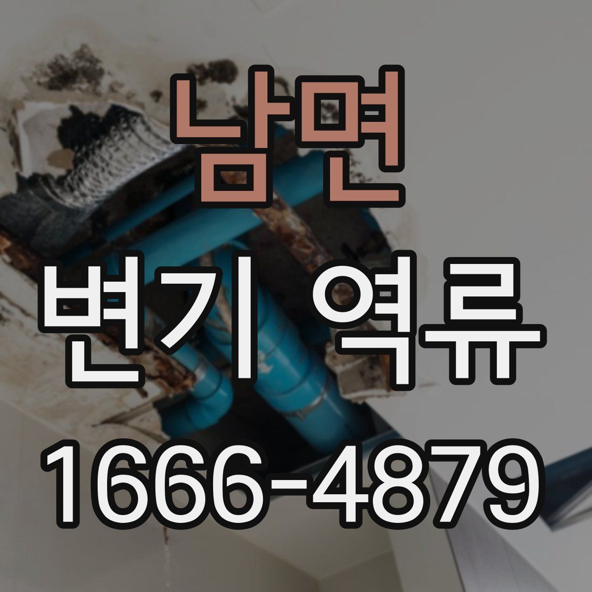 남면 변기 역류