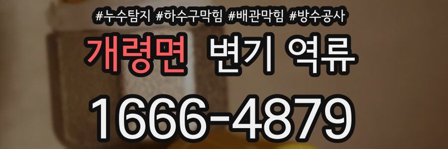 개령면 변기 역류