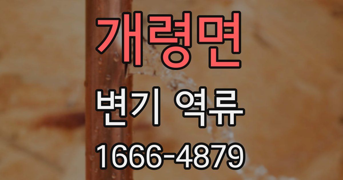 개령면 변기 역류