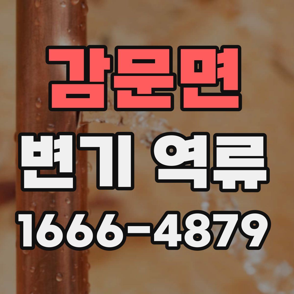 감문면 변기 역류