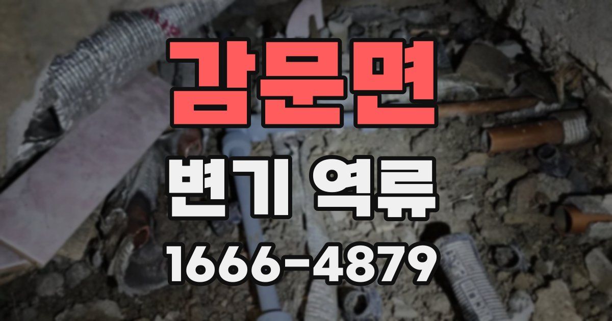 감문면 변기 역류
