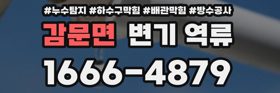 감문면 변기 역류