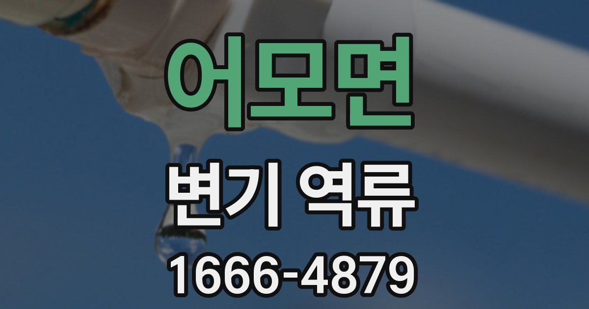 어모면 변기 역류