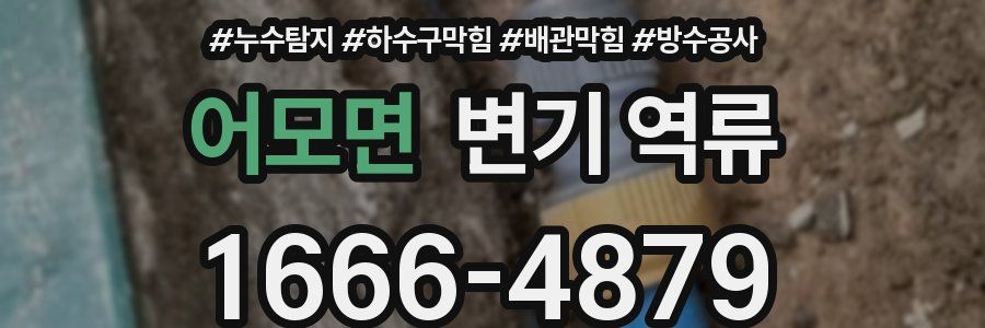 어모면 변기 역류