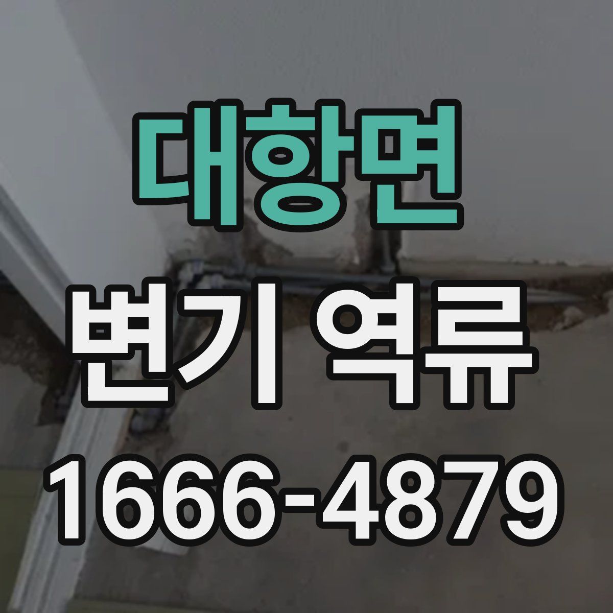 대항면 변기 역류