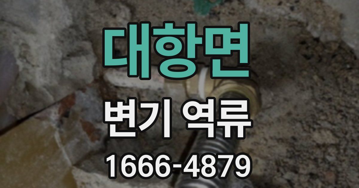 대항면 변기 역류