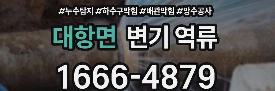 대항면 변기 역류