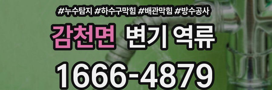 감천면 변기 역류