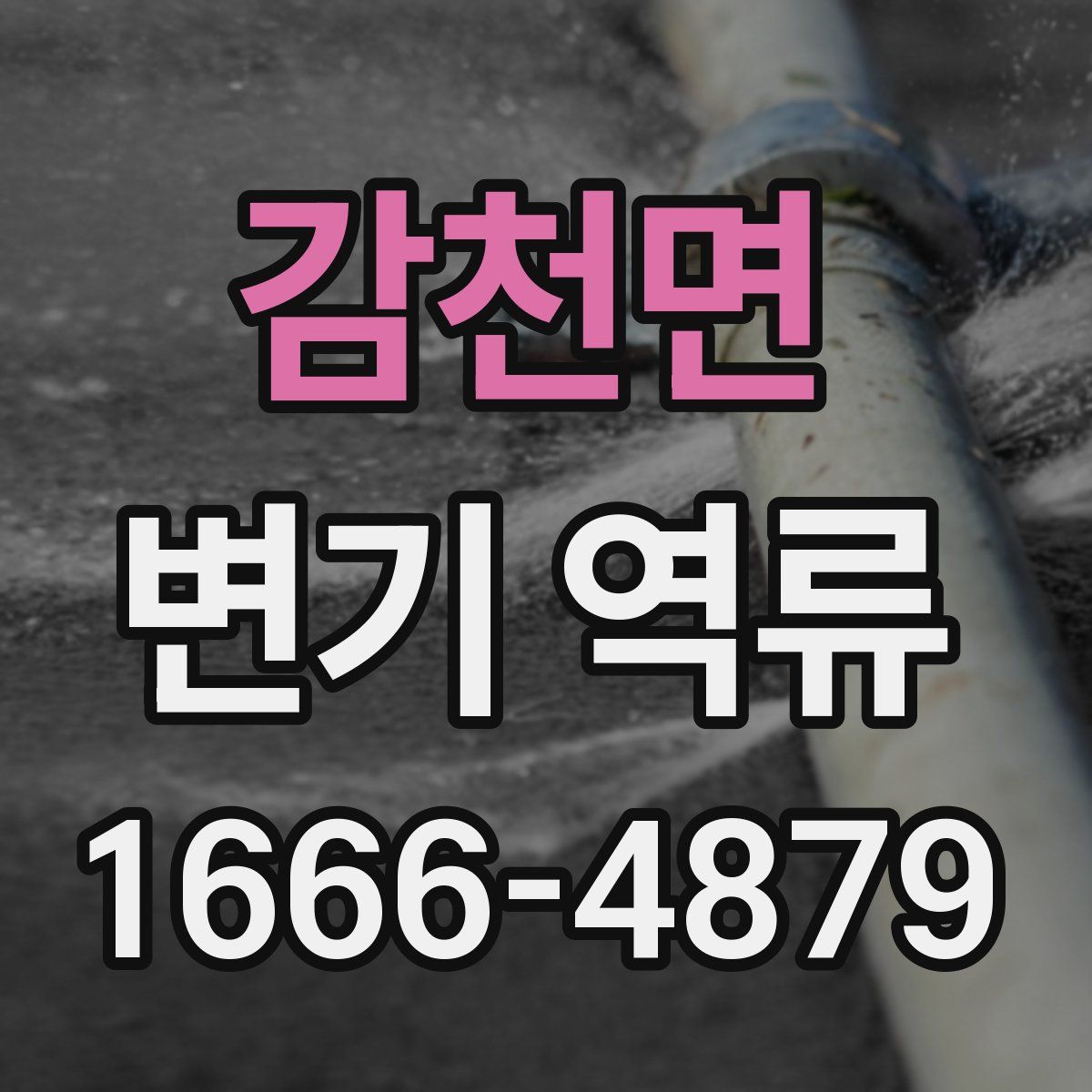 감천면 변기 역류