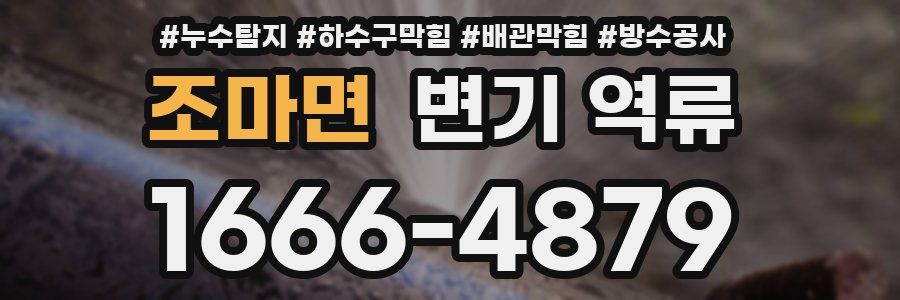 조마면 변기 역류