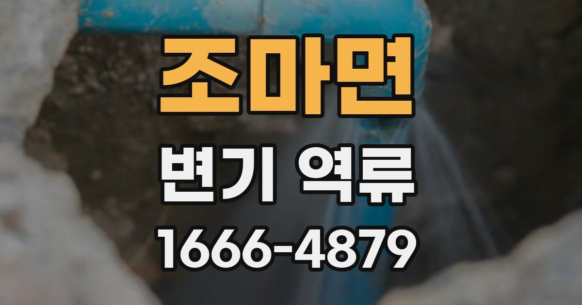 조마면 변기 역류