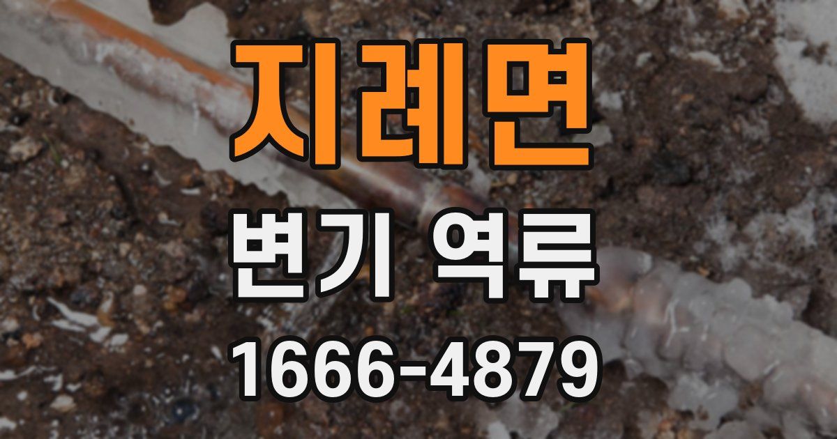 지례면 변기 역류