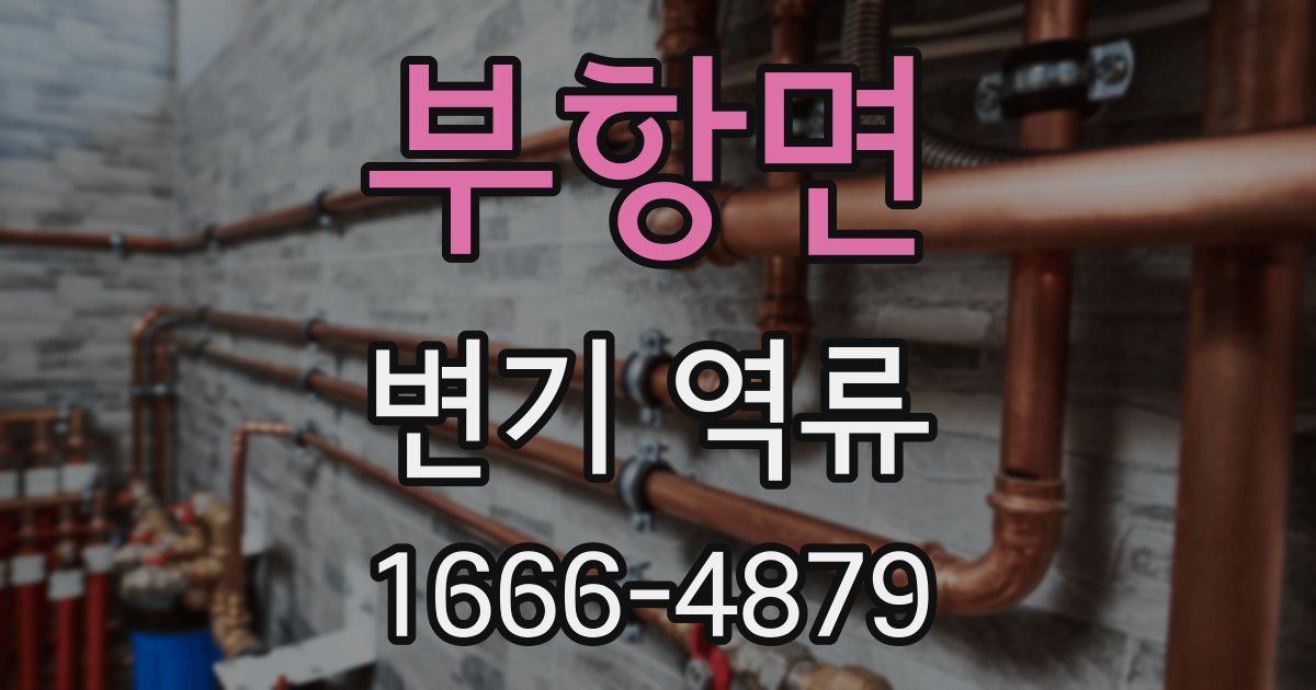 부항면 변기 역류