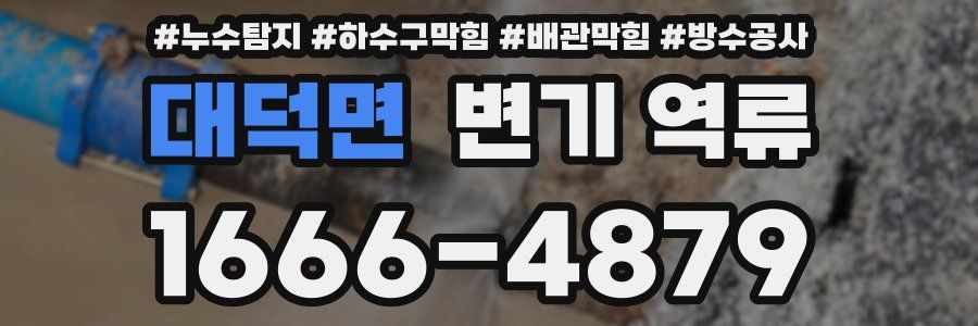 대덕면 변기 역류