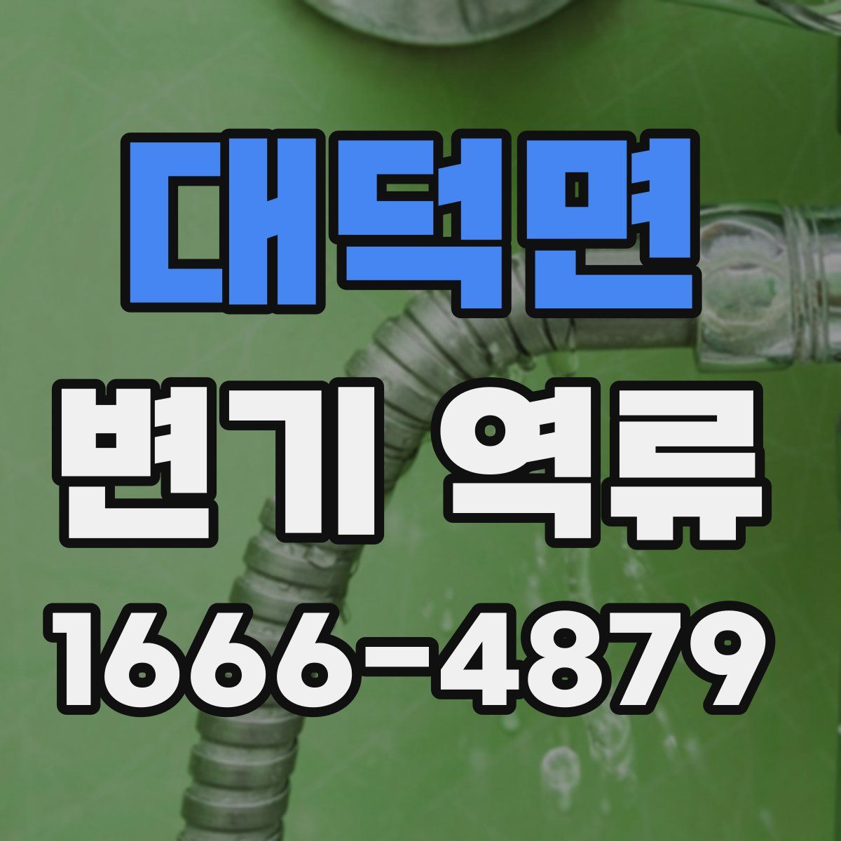 대덕면 변기 역류