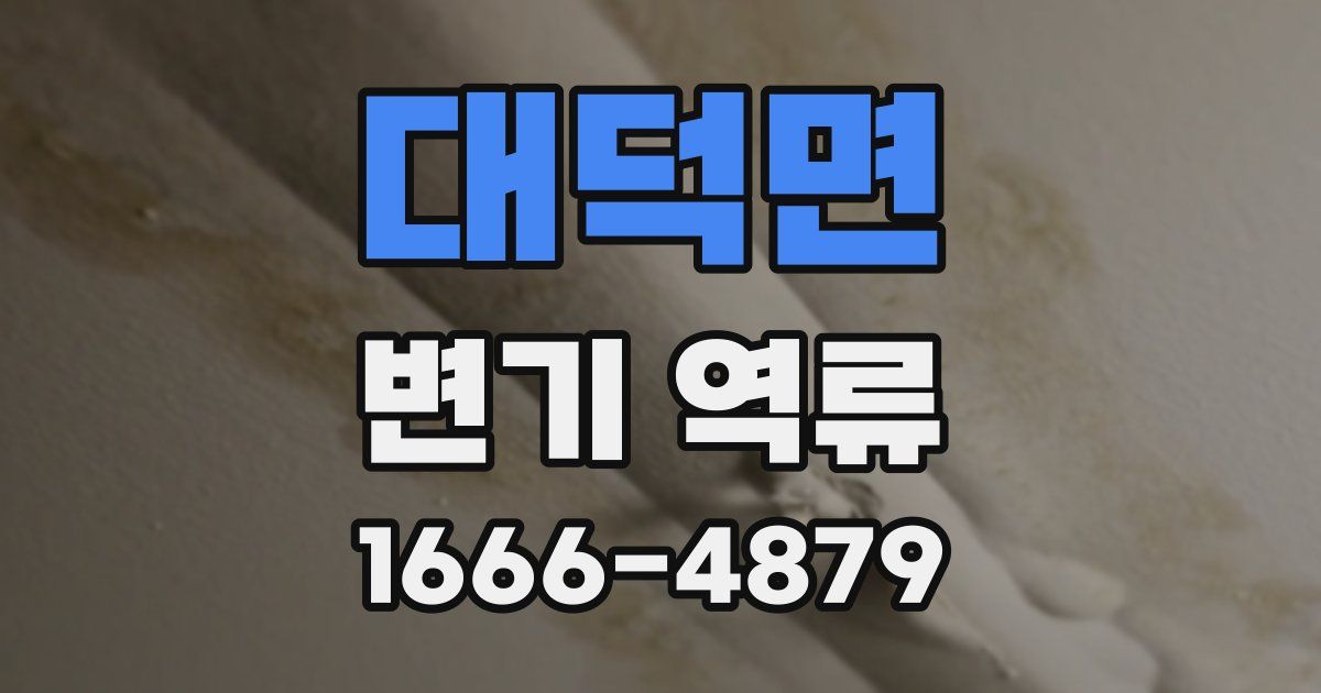대덕면 변기 역류