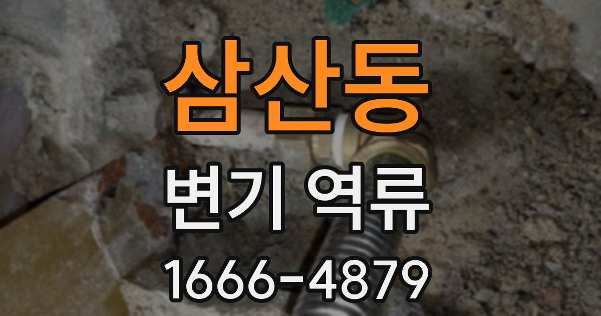 삼산동 변기 역류