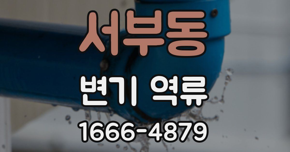 서부동 변기 역류