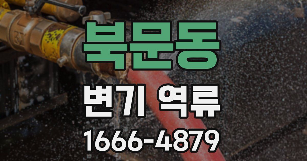 북문동 변기 역류