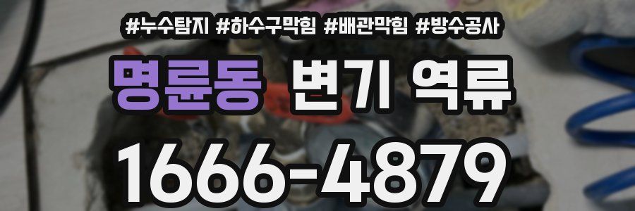 명륜동 변기 역류