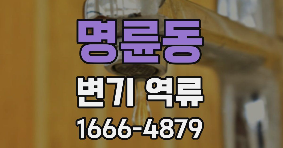명륜동 변기 역류