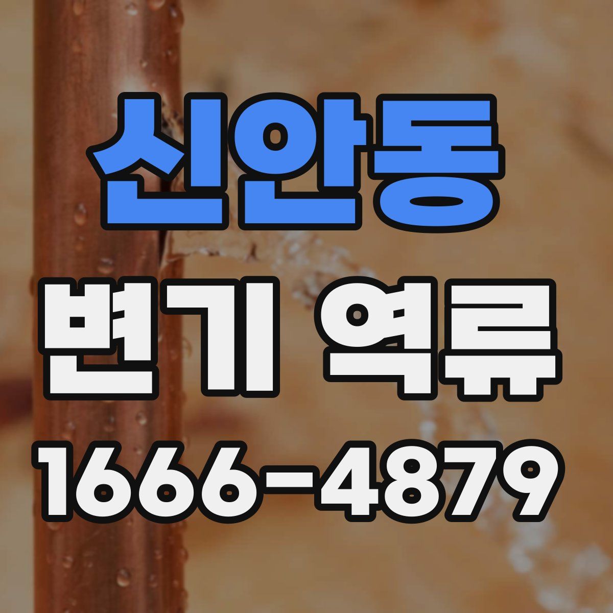 신안동 변기 역류