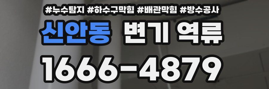 신안동 변기 역류